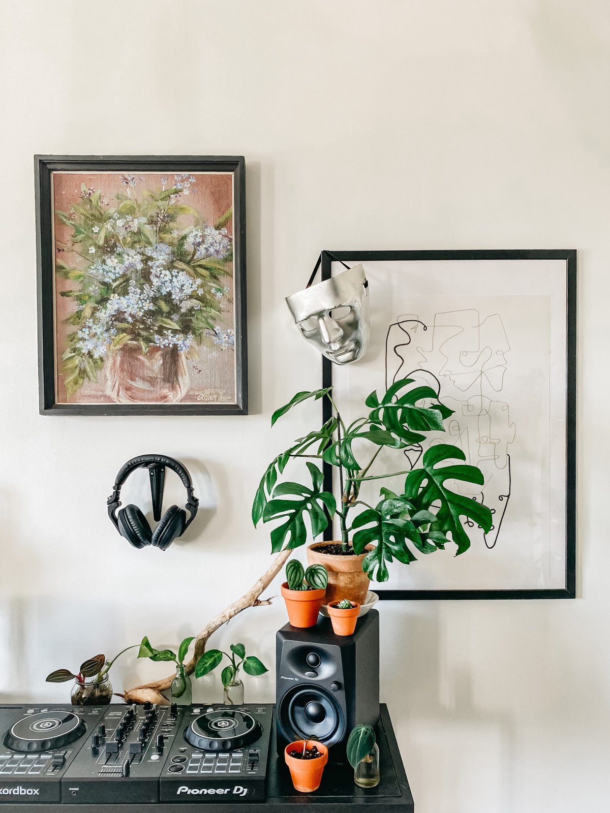 Pictures of indoor potted green plants