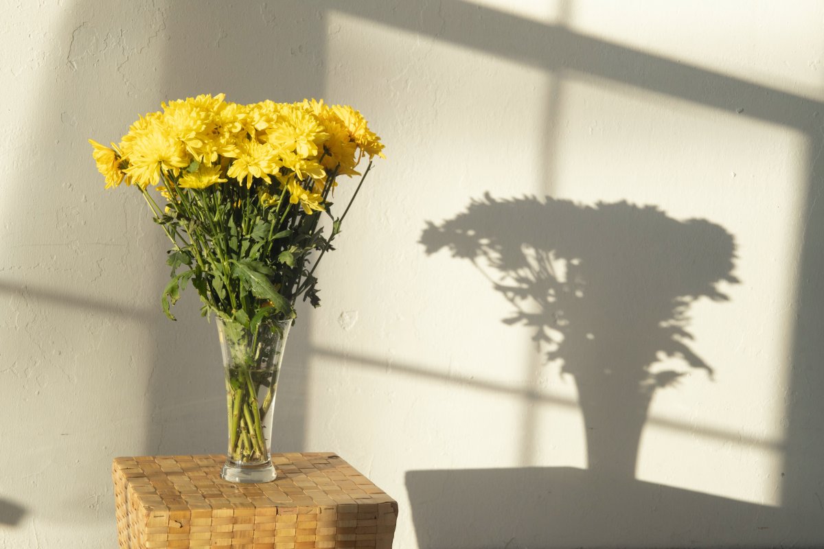 A bouquet of yellow chrysanthemums in the sun