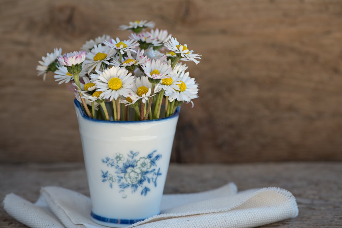 HD pictures of vase with flowers