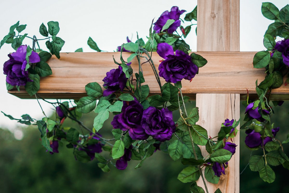romantic purple roses pictures