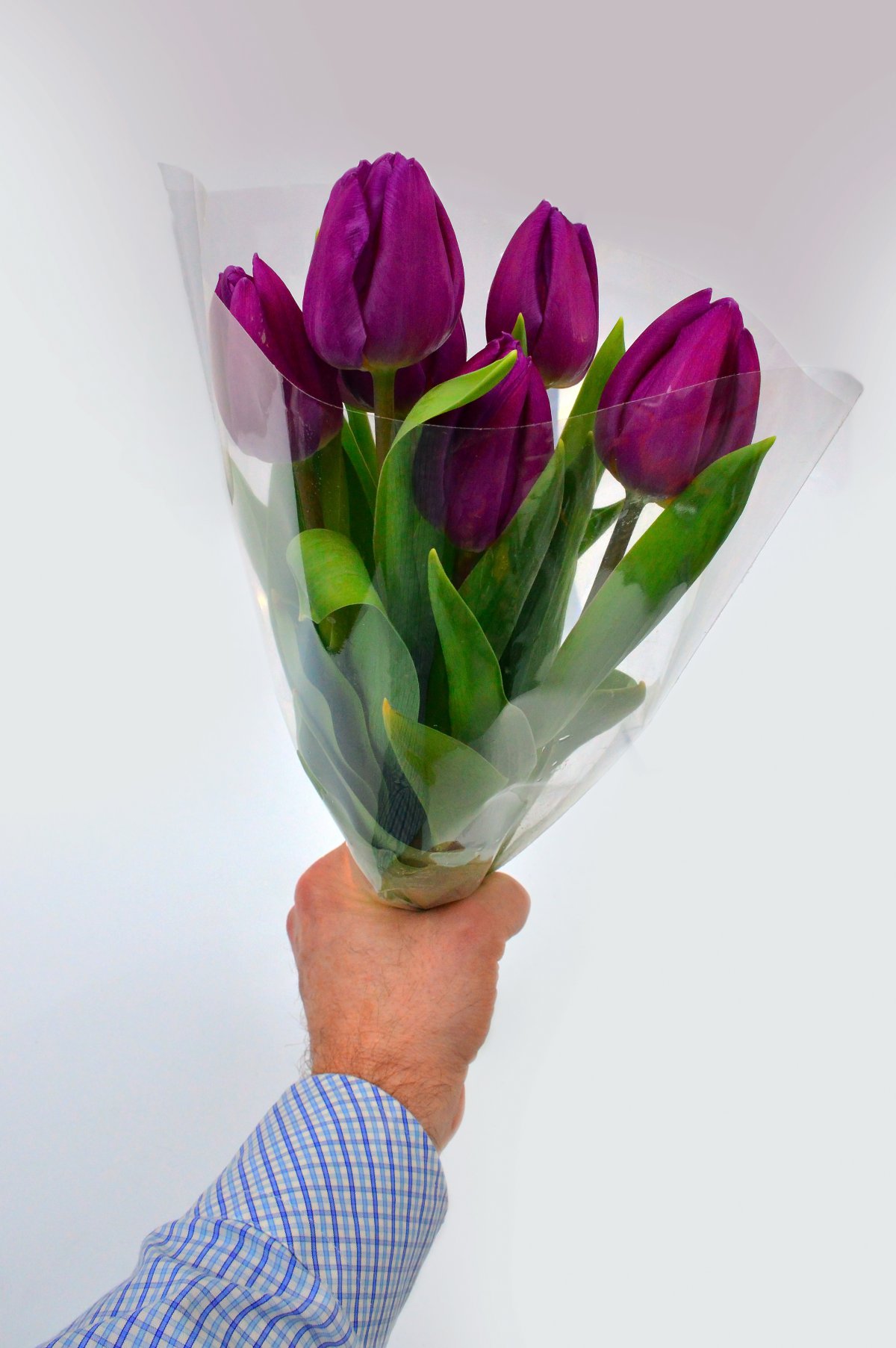 Beautiful bouquet of purple tulips picture