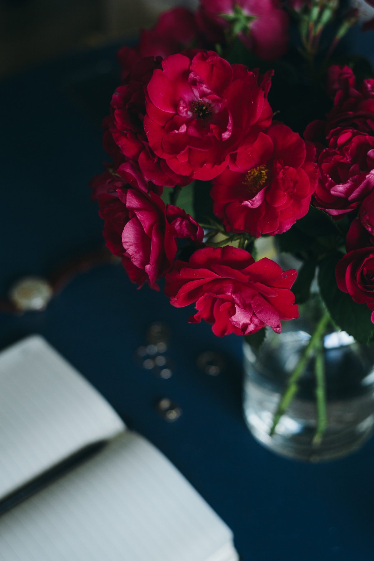 Red roses in vase pictures
