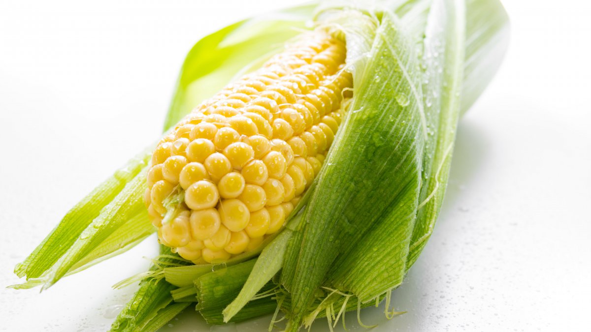 HD pictures of plump corn