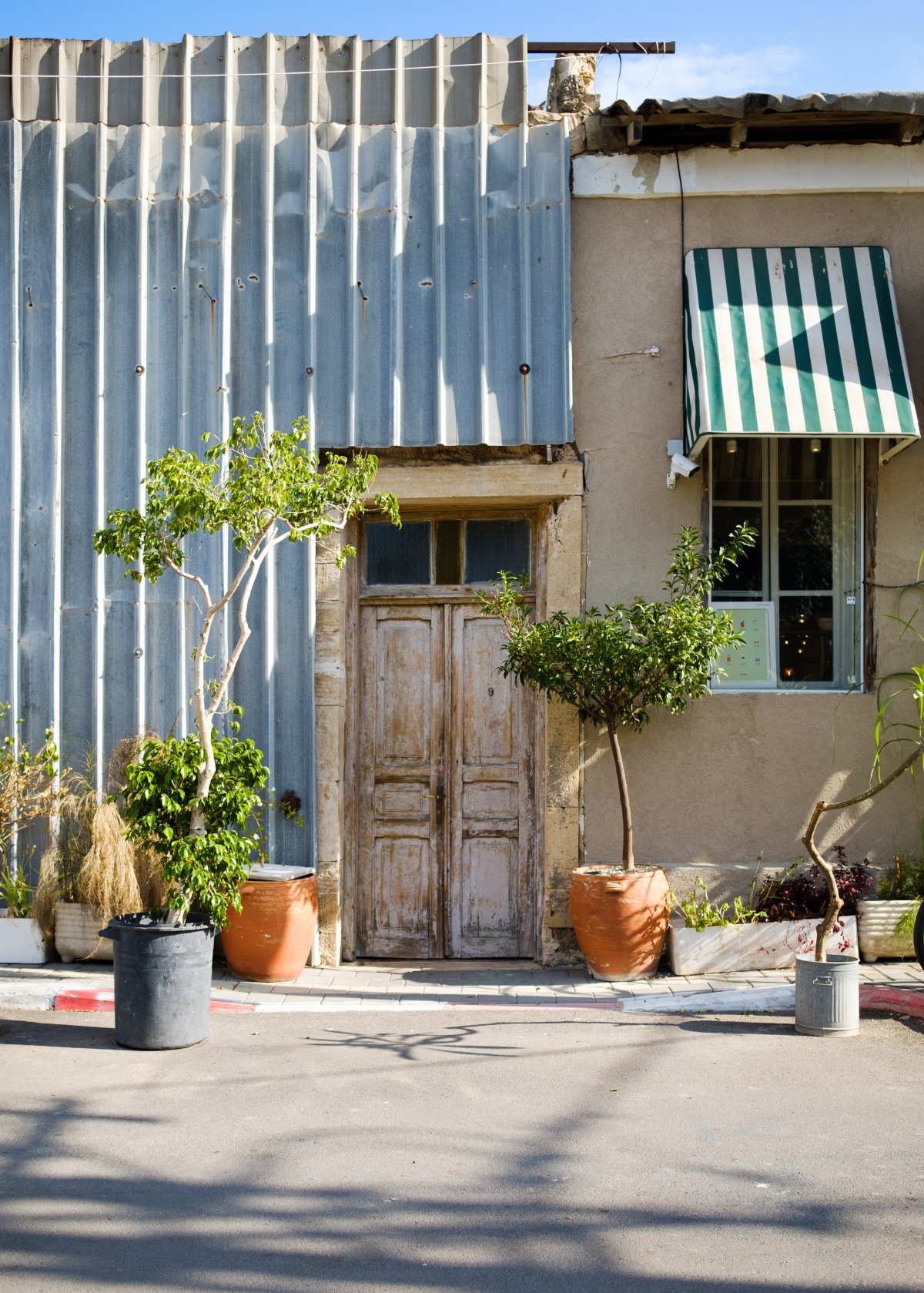 Pictures of potted plants placed outside the door