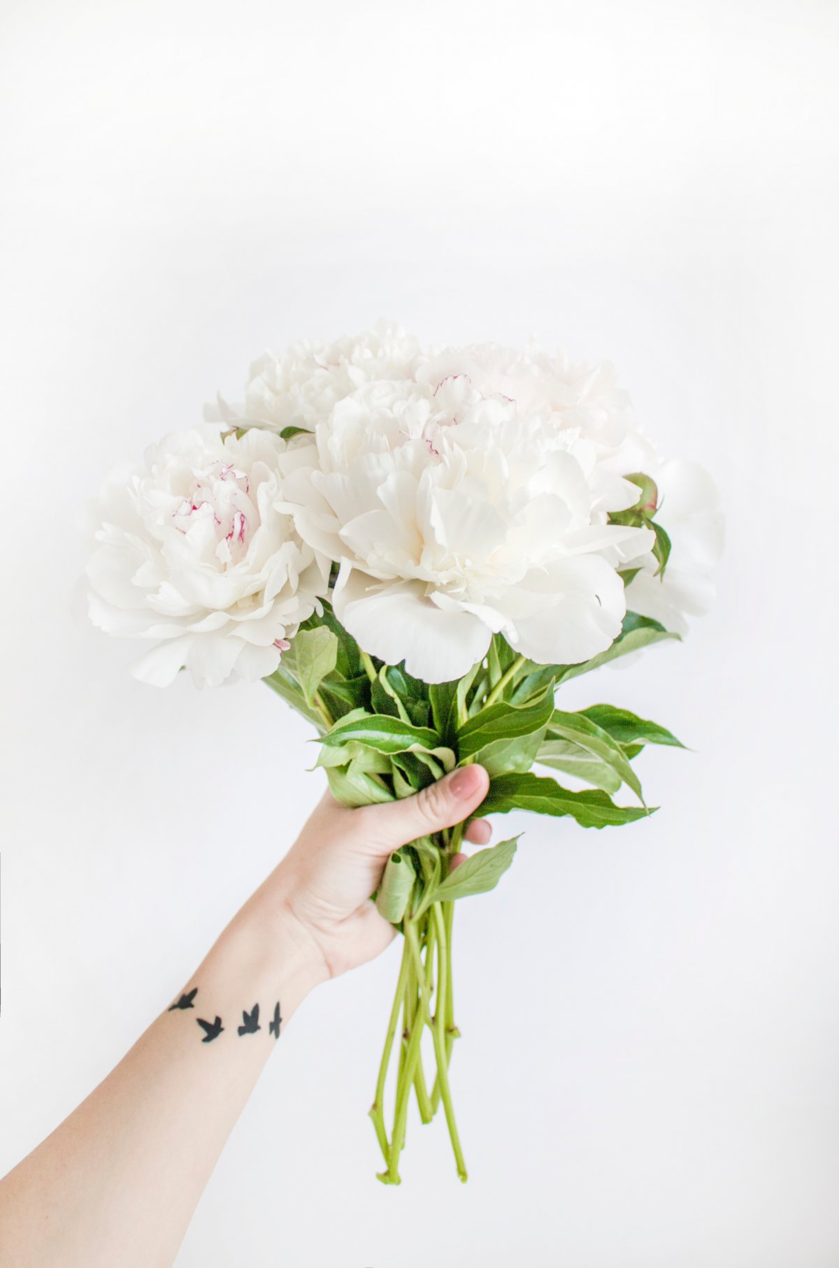 Pictures of holding flowers in hands
